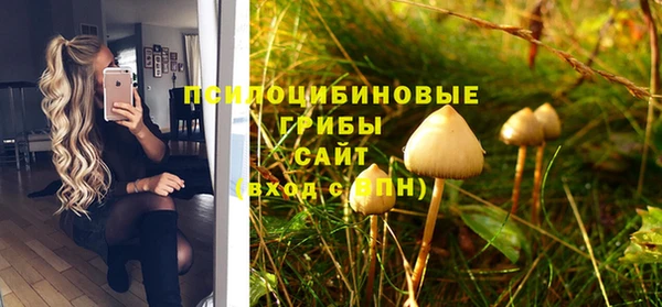 mdpv Алзамай