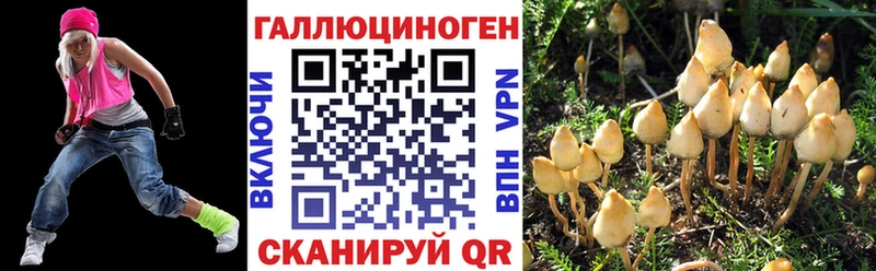цены   Зуевка  KRAKEN рабочий сайт  Псилоцибиновые грибы прущие грибы 