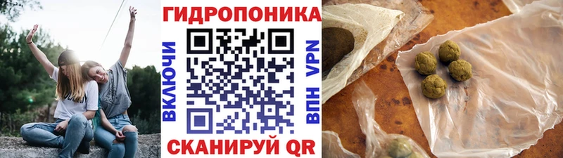 Марихуана конопля  площадка телеграм  Зуевка  где можно купить наркотик 